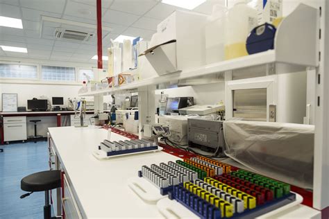 Laboratorio Analisi Lepetit Srl .